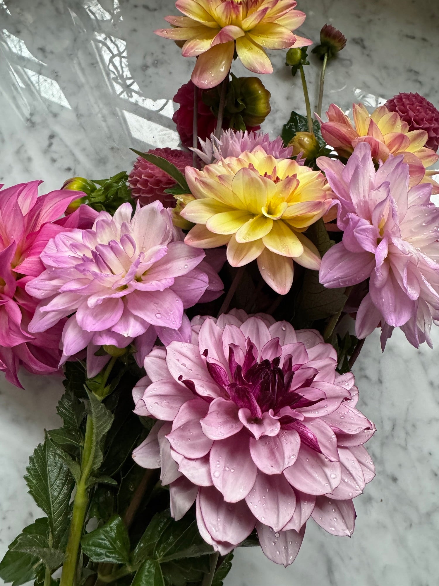 Flower CSA